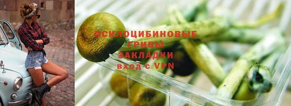 apvp Арсеньев