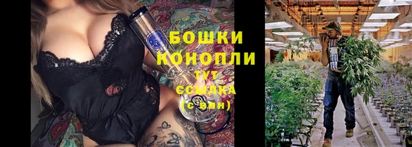 МДПВ Аркадак