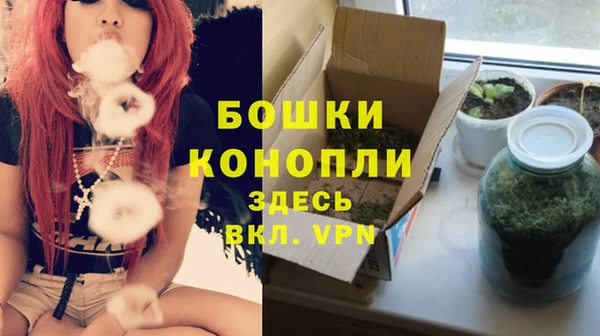 МДПВ Аркадак